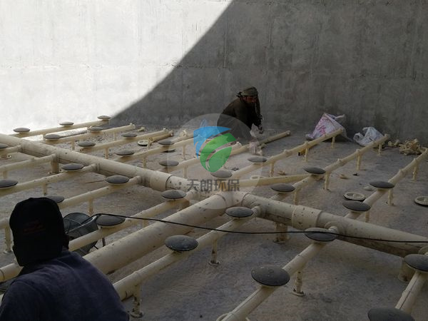 巴基斯坦市政生活污水曝氣系統(tǒng)安裝現場